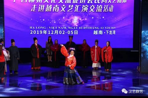 文化交流, 汉艺群芳 走进越南......